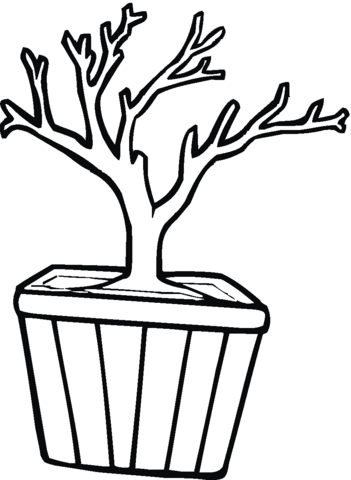 Bonsai In A Pot Coloring Page